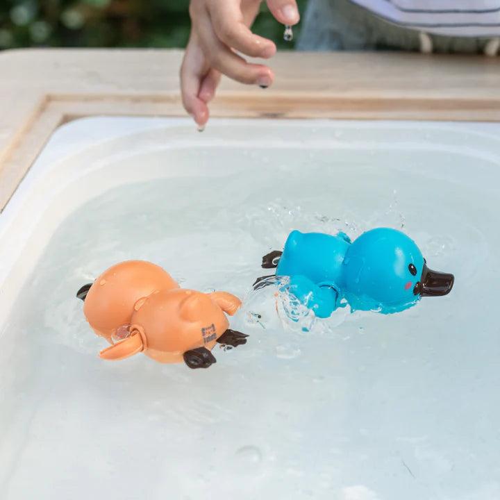 Bath Racers - Platypus